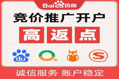 行业领先！专业SEM托管的成功实践案例